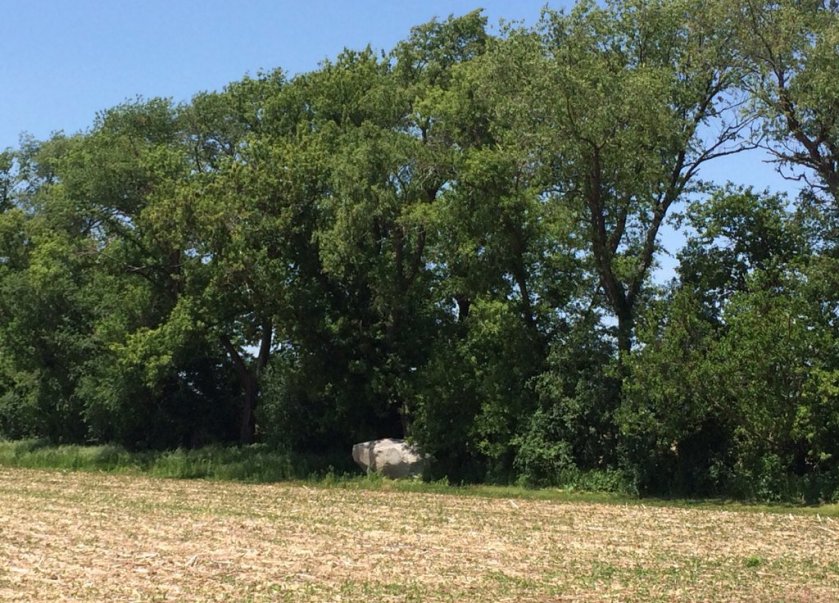 Erratic mete and bounds