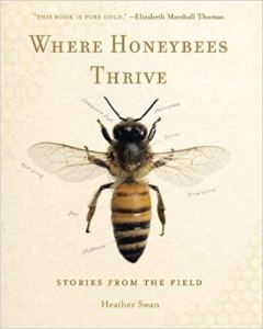 where honeybees thrive