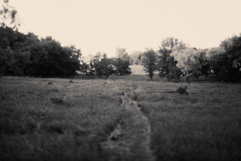 piedbeauty-july2018-paperantler-0015